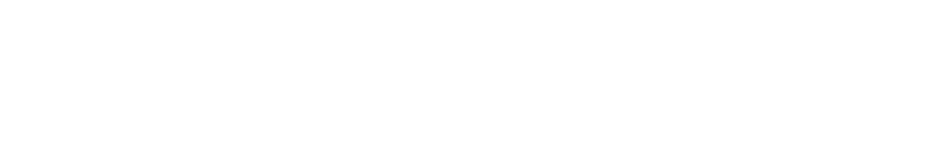 Panavox Logo